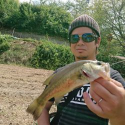 ノーシンカーリグ